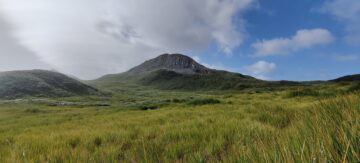 Landscape photo of South Georgia