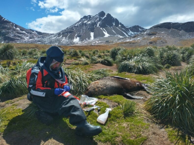 A man sitting on top of a mountain