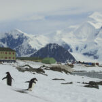 A photo of Rothera Research Station, showing snow-capped mountains and penguins in the foreground