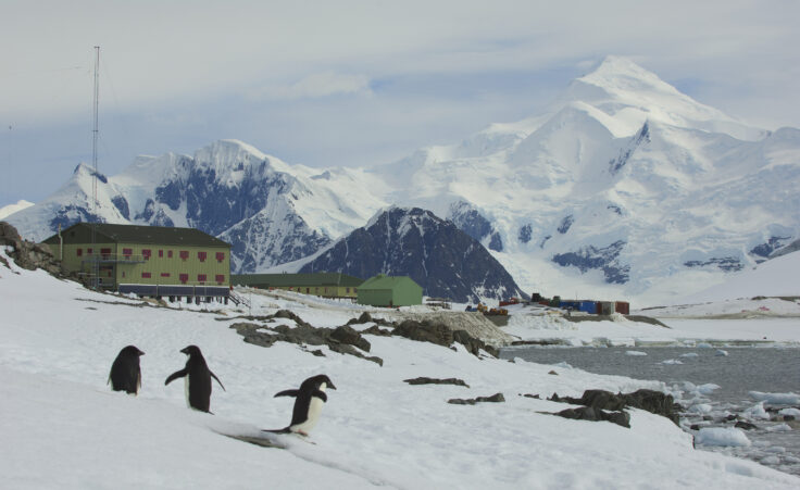 A photo of Rothera Research Station, showing snow-capped mountains and penguins in the foreground