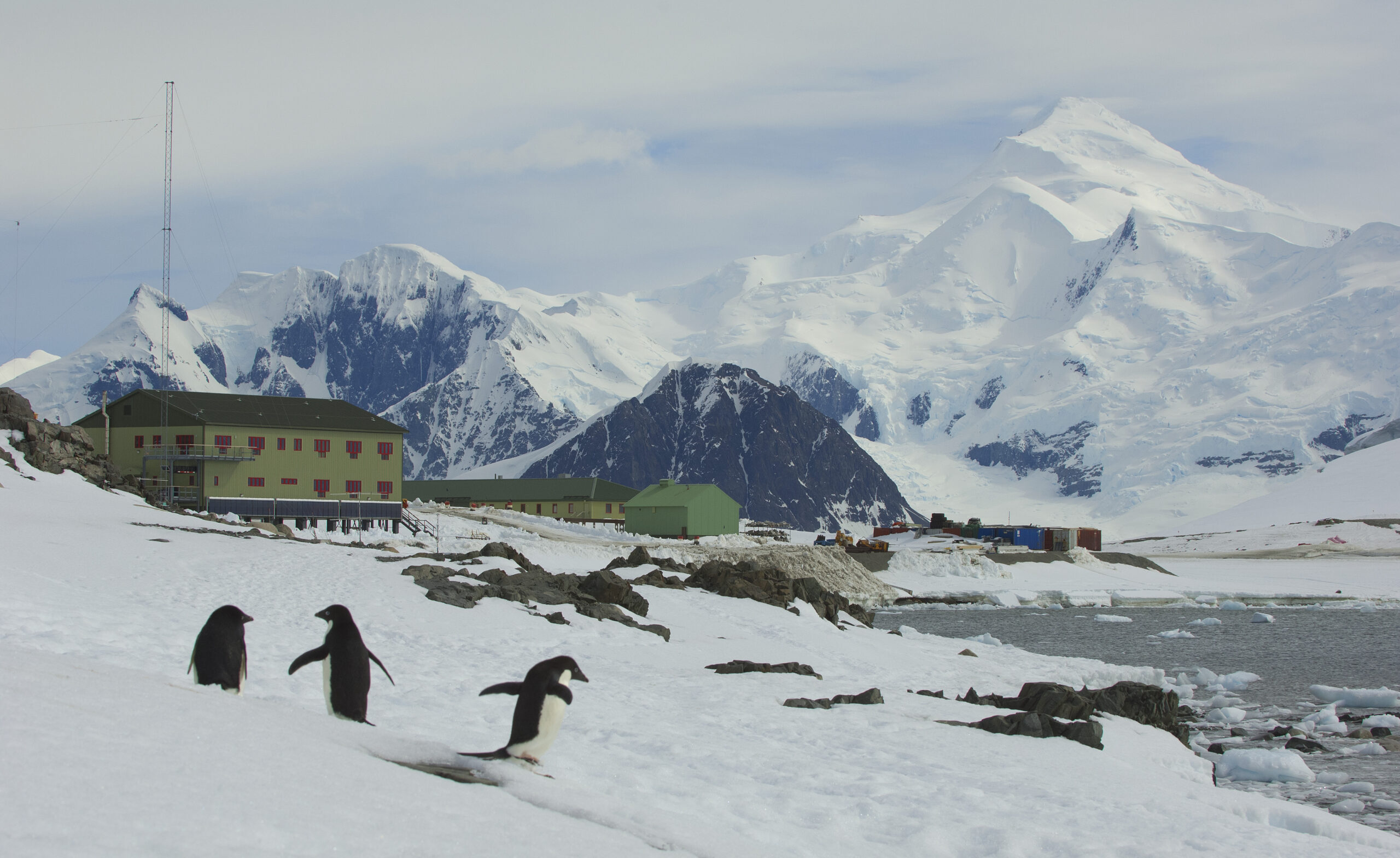 A photo of Rothera Research Station, showing snow-capped mountains and penguins in the foreground