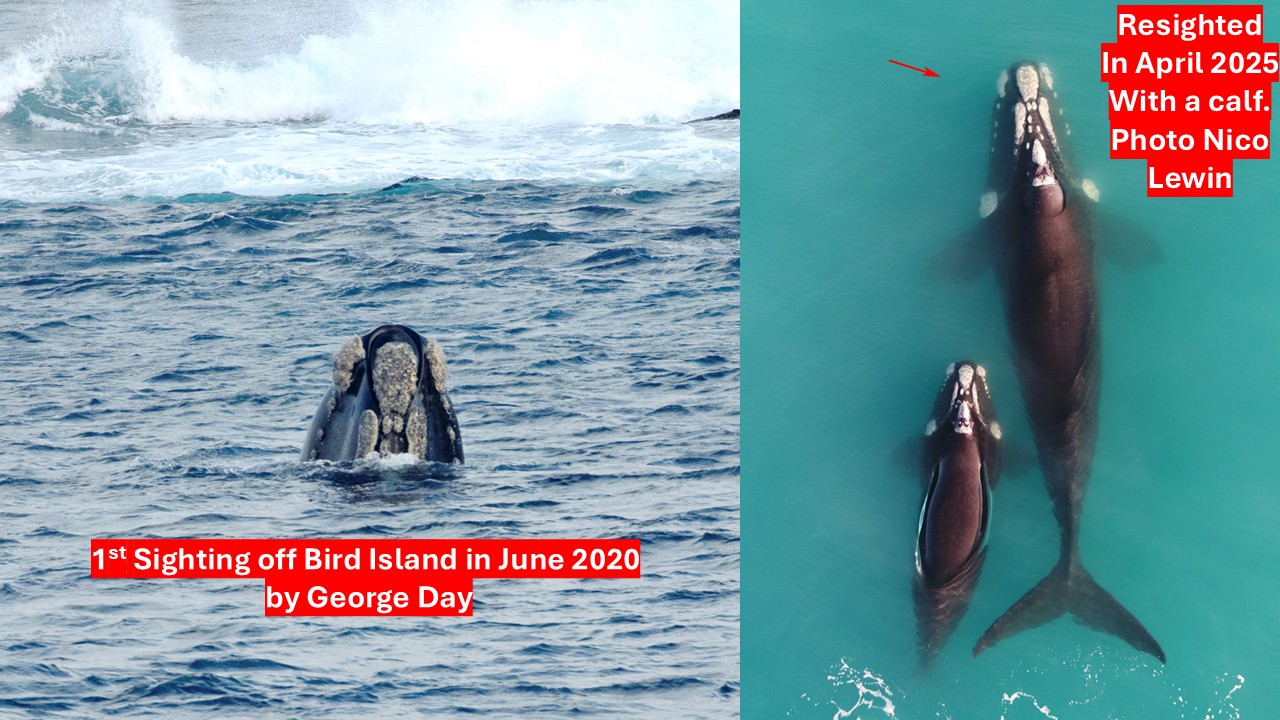 A sign on the side of the water