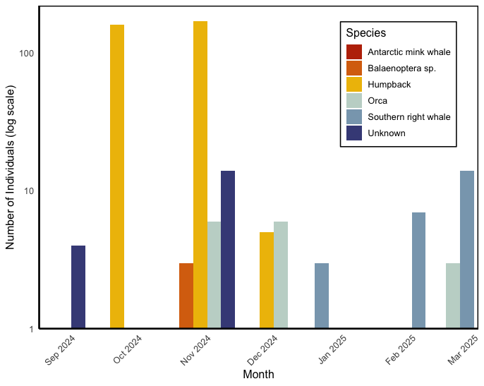 Chart, bar chart