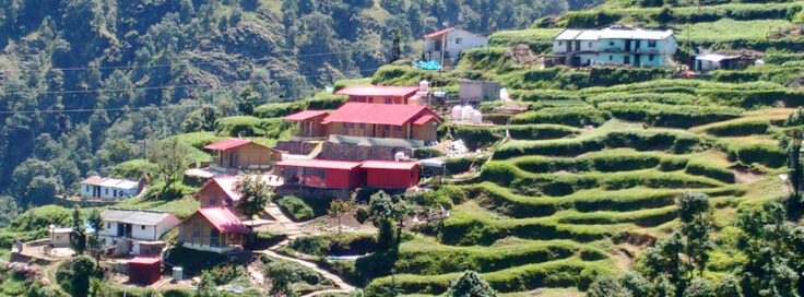 A garden with a mountain in the background