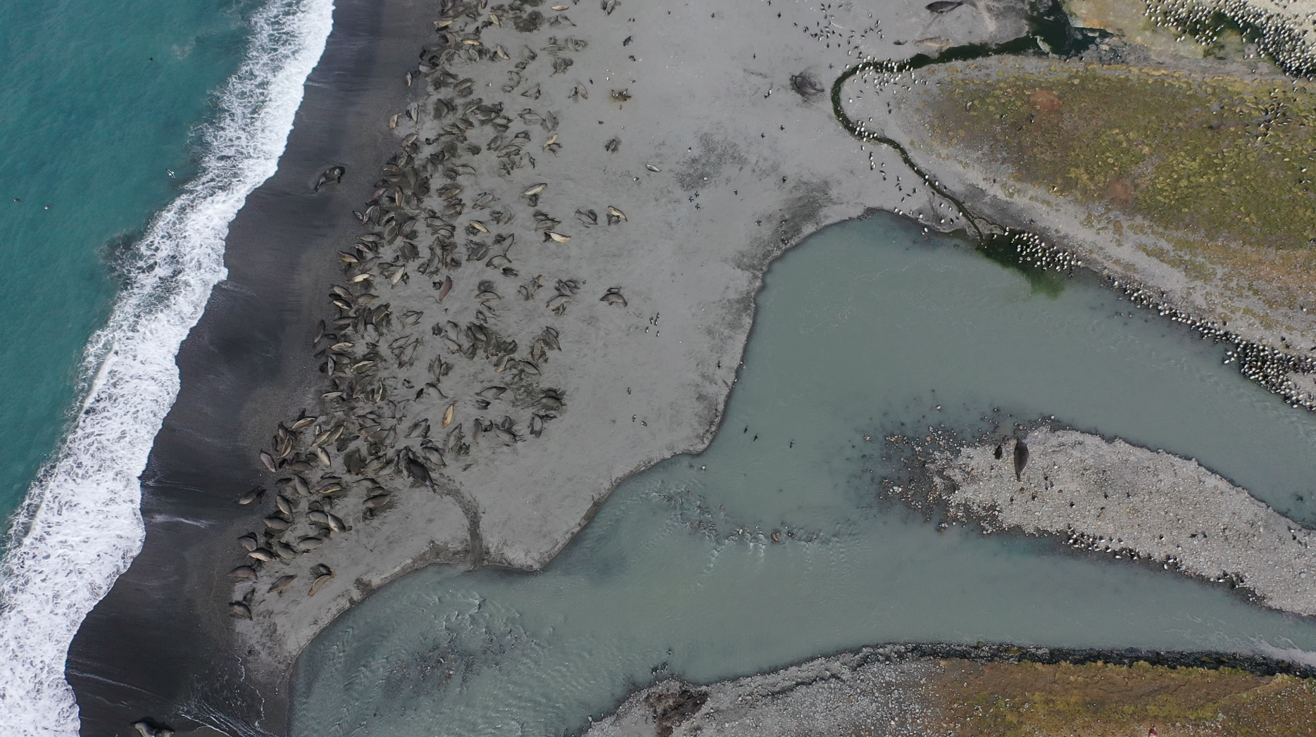 A close up of a wet beach