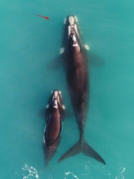 A close up of some water