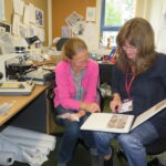 A man and a woman sitting at a desk