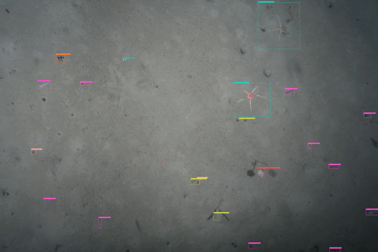 Antarctic seafloor research with AI technology