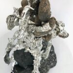 A close up of an animal