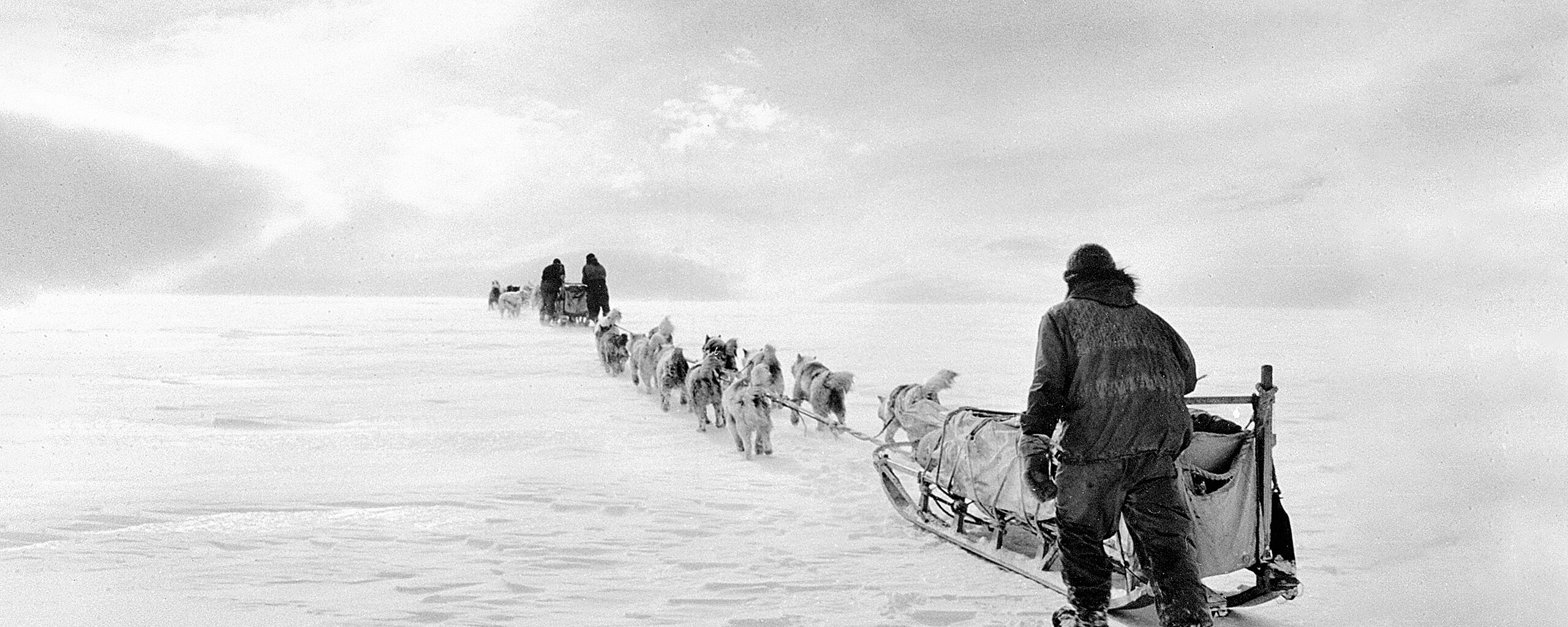 dog sledge travel from the 1940s