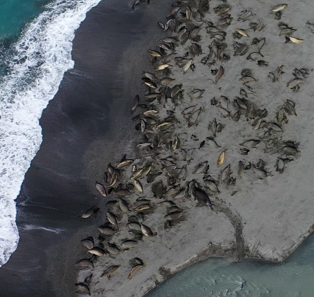 Water next to the ocean