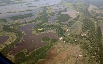 A view of a mountain