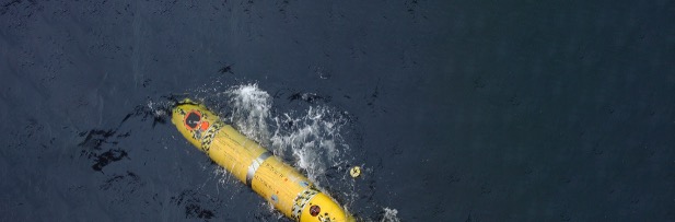 An underwater robot collecting data