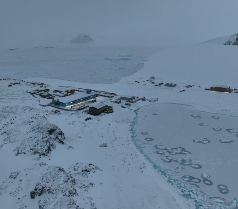 A close up of a snow covered slope