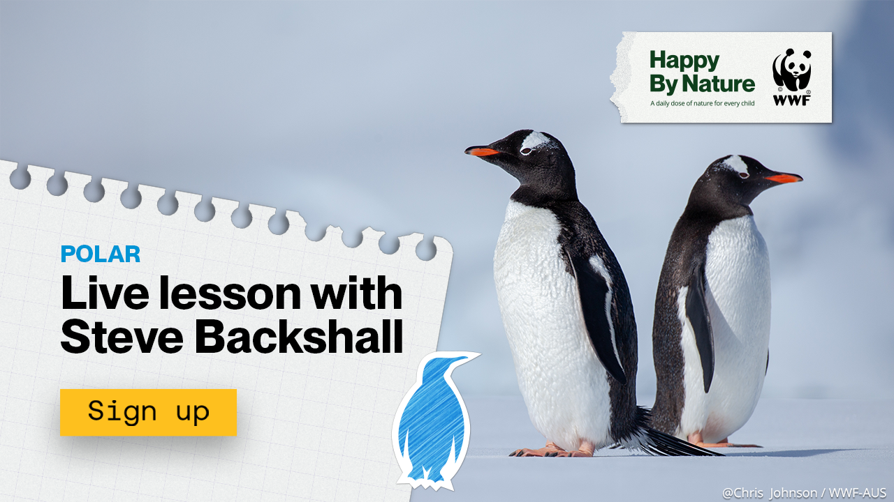 Two penguins next to a notebook with the words Live Lesson with Steve Backshall