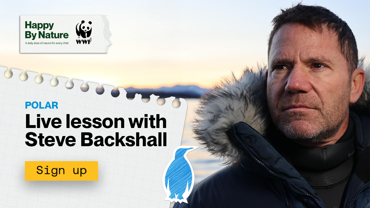 Steve Backshall next to a notepad showing words Live Lesson with Steve Backshall