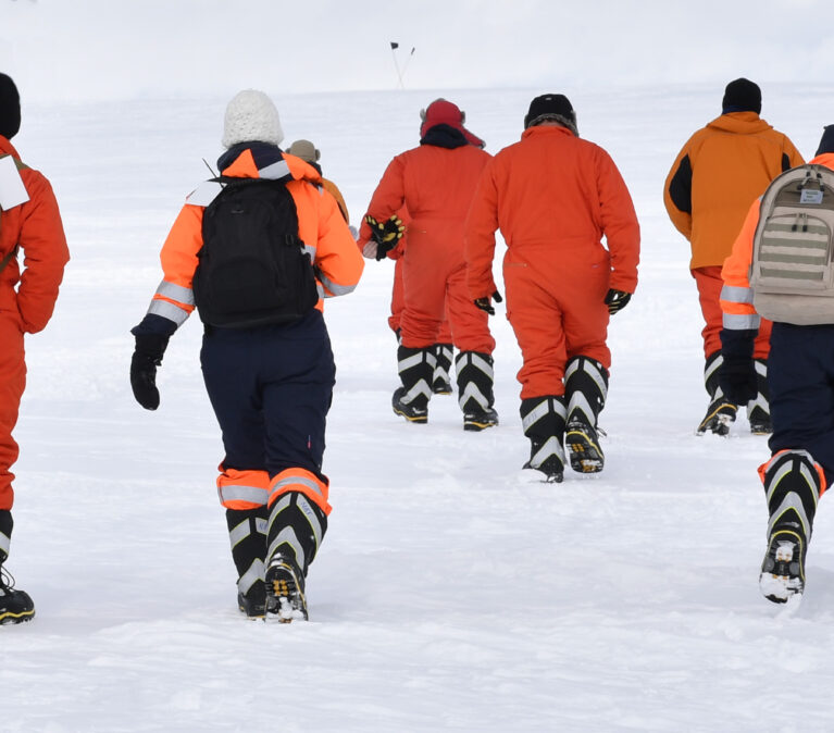 A group of people riding skis on a snowy hill