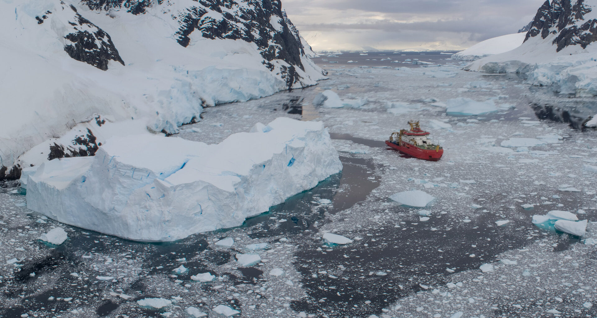 SDA in the Lemaire Channel, Antarctica