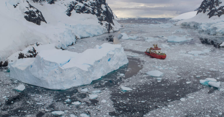 SDA in the Lemaire Channel, Antarctica