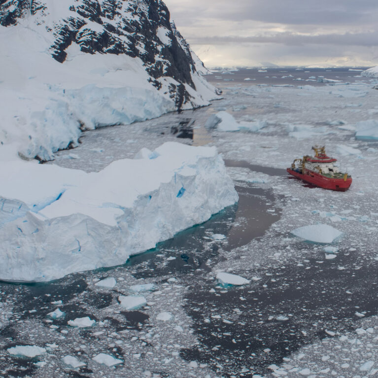 SDA in the Lemaire Channel, Antarctica