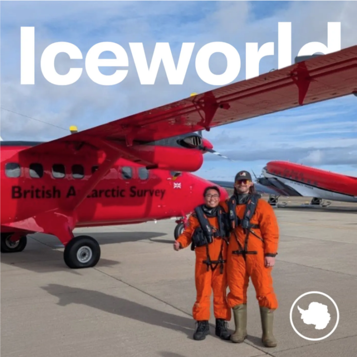 A person standing in front of a plane
