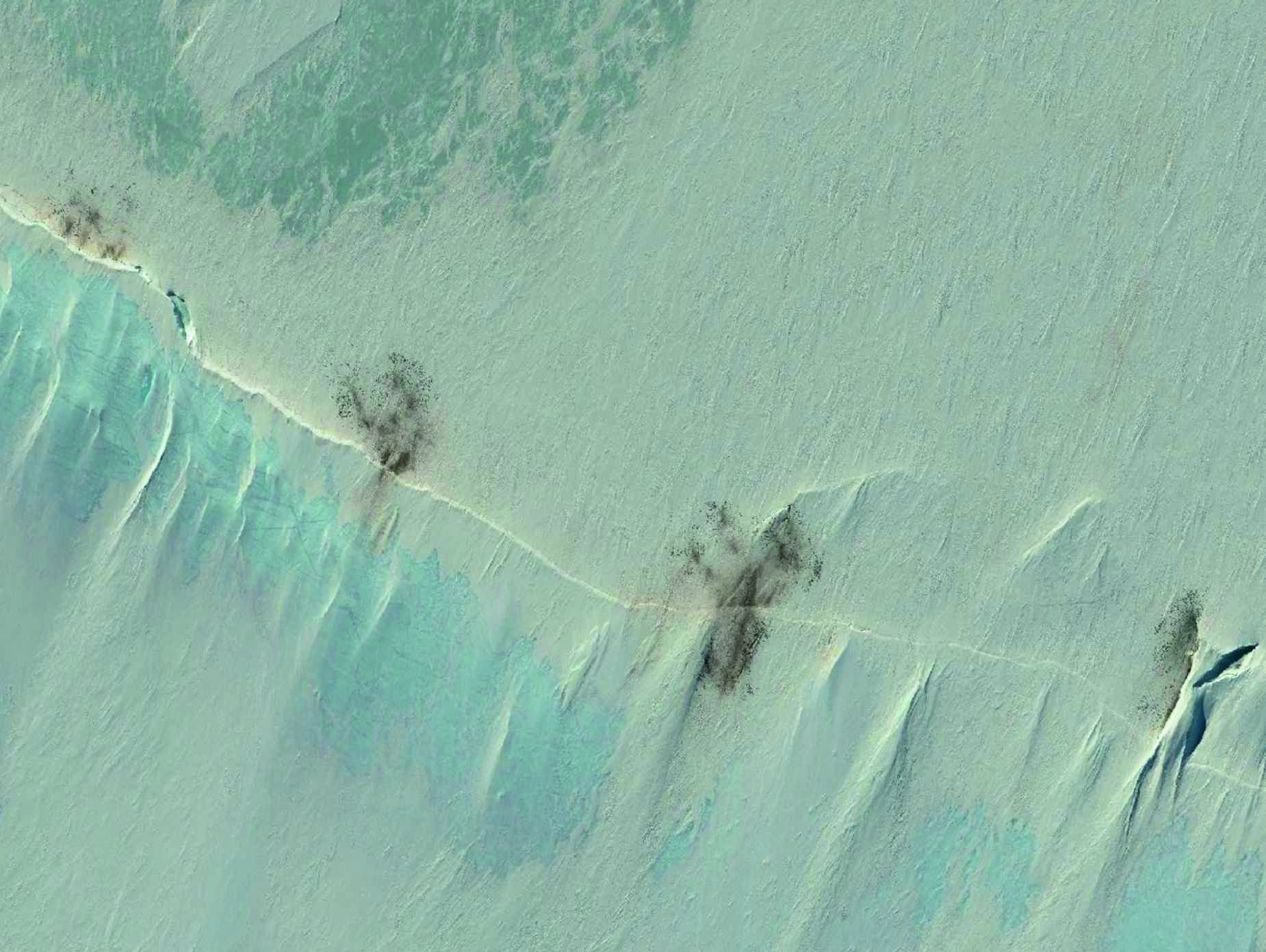 A bird standing on top of a mountain