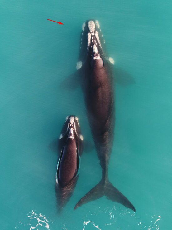 A close up of some water
