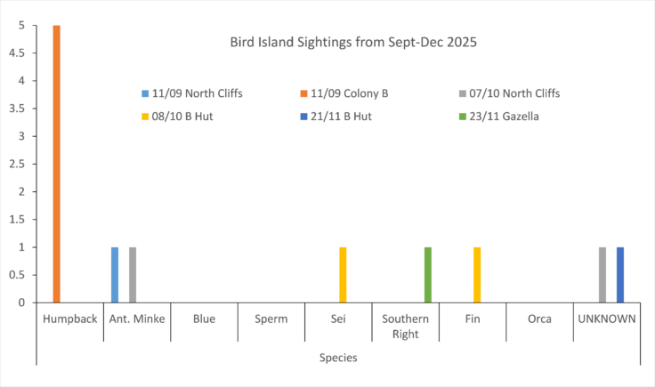Chart showing sightings from Bird Island from Sept-Dec 2025