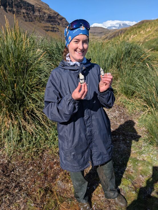 A scientist in a navy coat standing in grassy hills on South Georgia holding two small penguin tagging devices and smiling at the camera.
