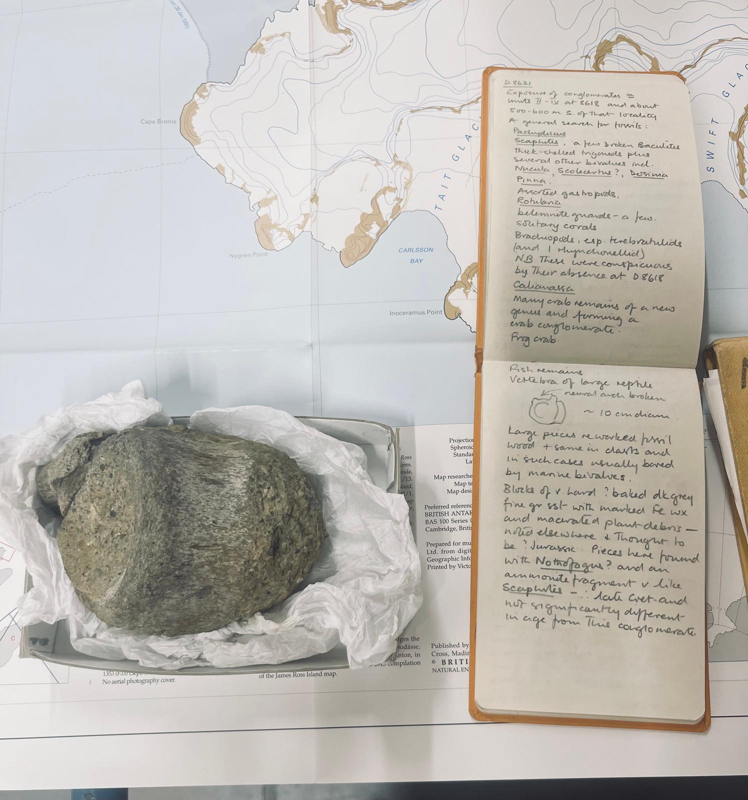 A geological field note book which is open with both pages and neat writing visible. There is a dinosaur fossil bone next to it and both items are placed on a map showing parts of Antarctica.