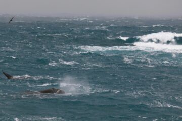 A man flying through the air while riding a wave in the ocean