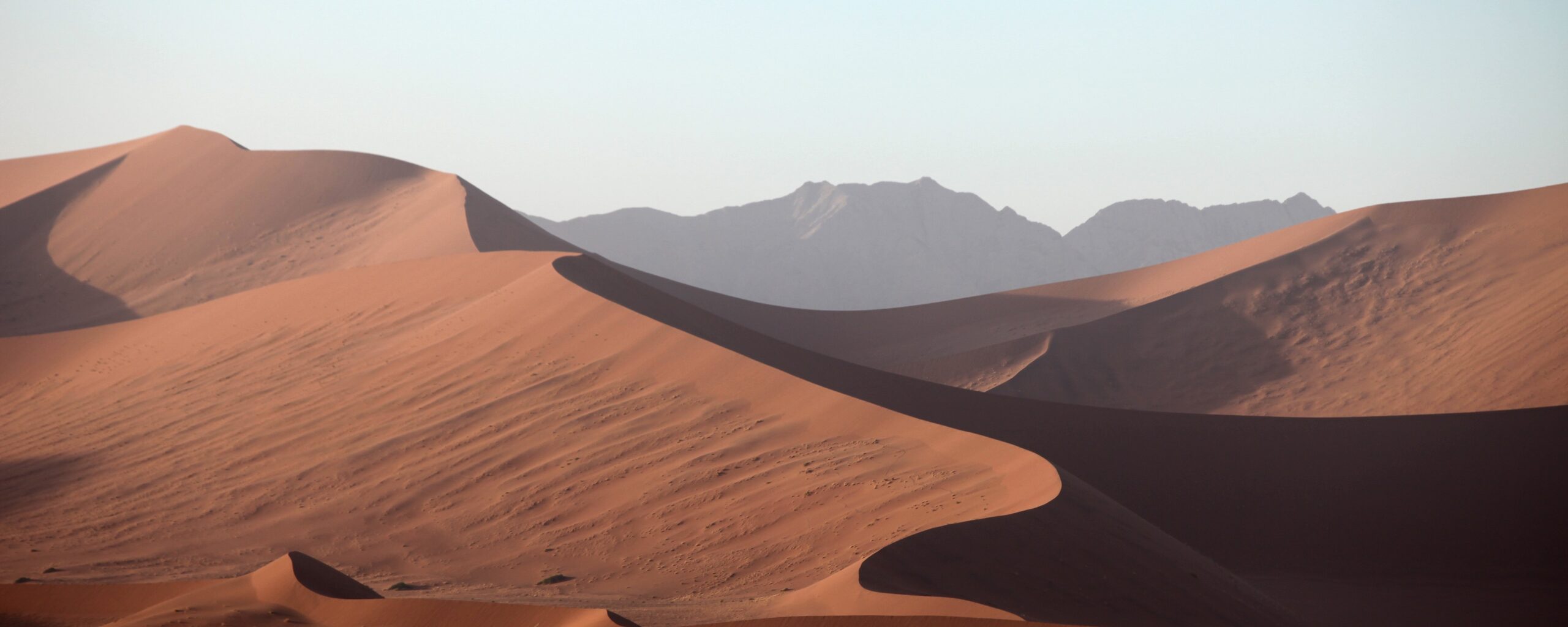 desert