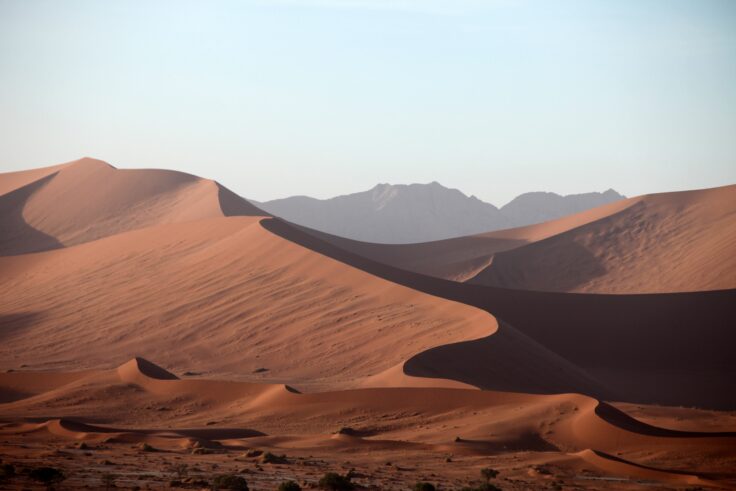 desert