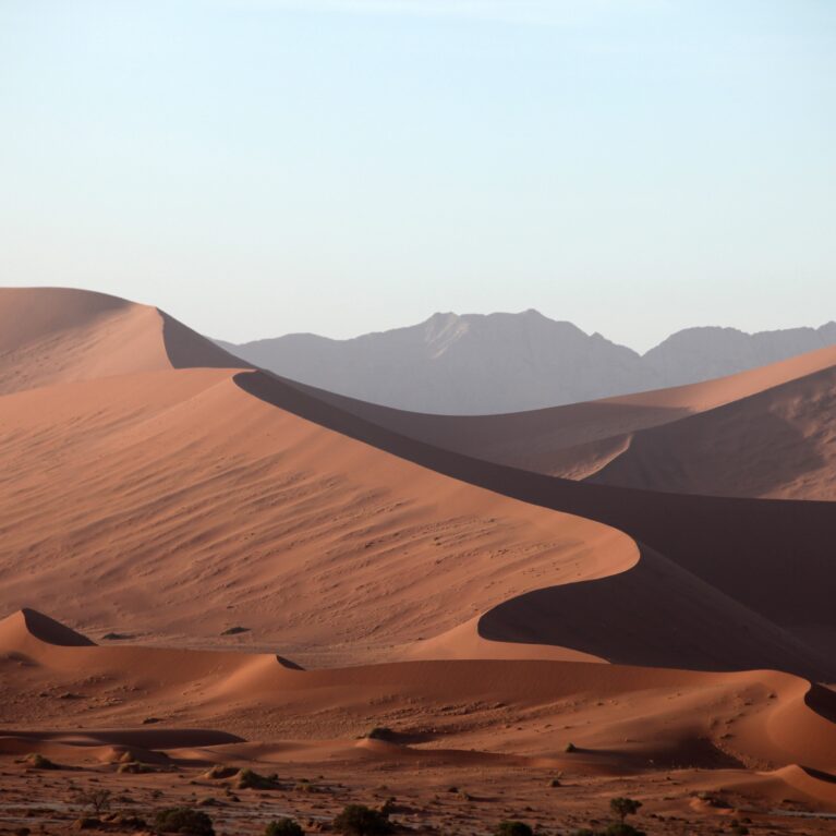desert