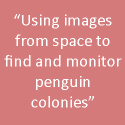 "Using photos from space to find and monitor penguin colonies"